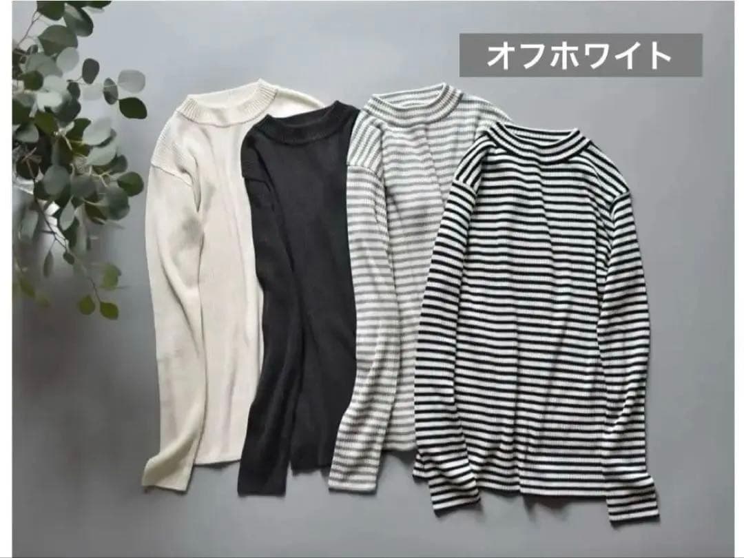 OUR洗えるハイネックニット （オフホワイト）