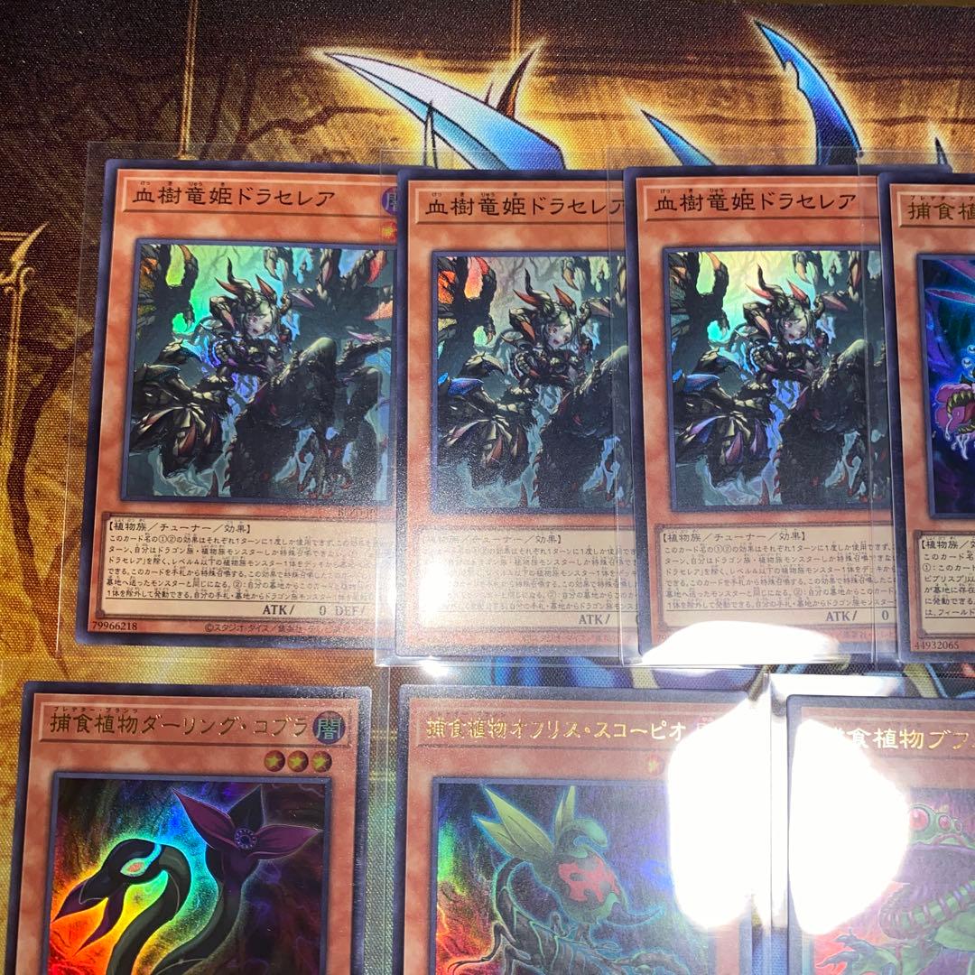 遊戯王 ドラセレア 捕食植物 デッキパーツ アシストワンパック封入