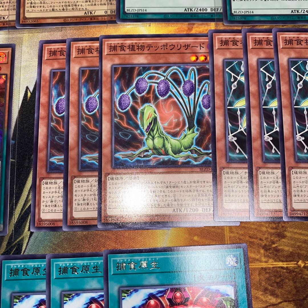 遊戯王 ドラセレア 捕食植物 デッキパーツ アシストワンパック封入