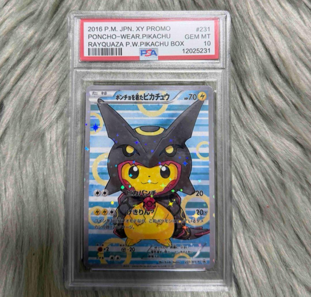 ポンチョを着たピカチュウレックウザ　鑑賞用