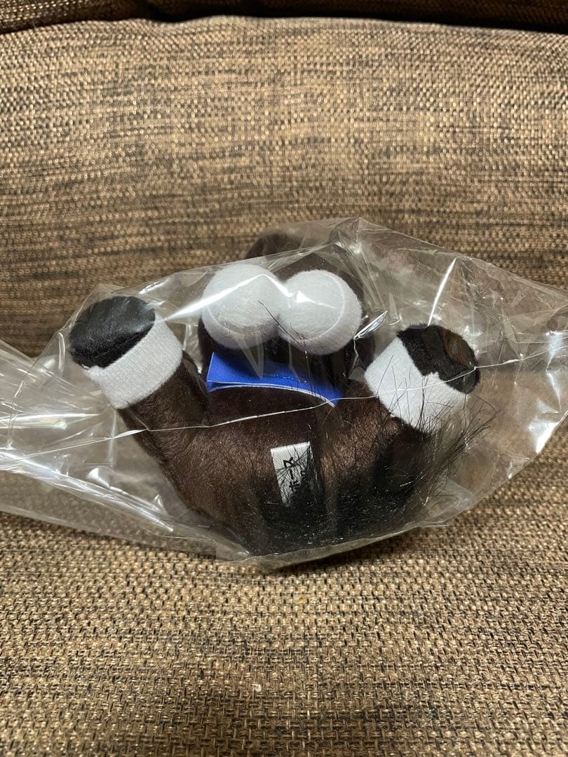 アイドルホース　ピクシーナイト