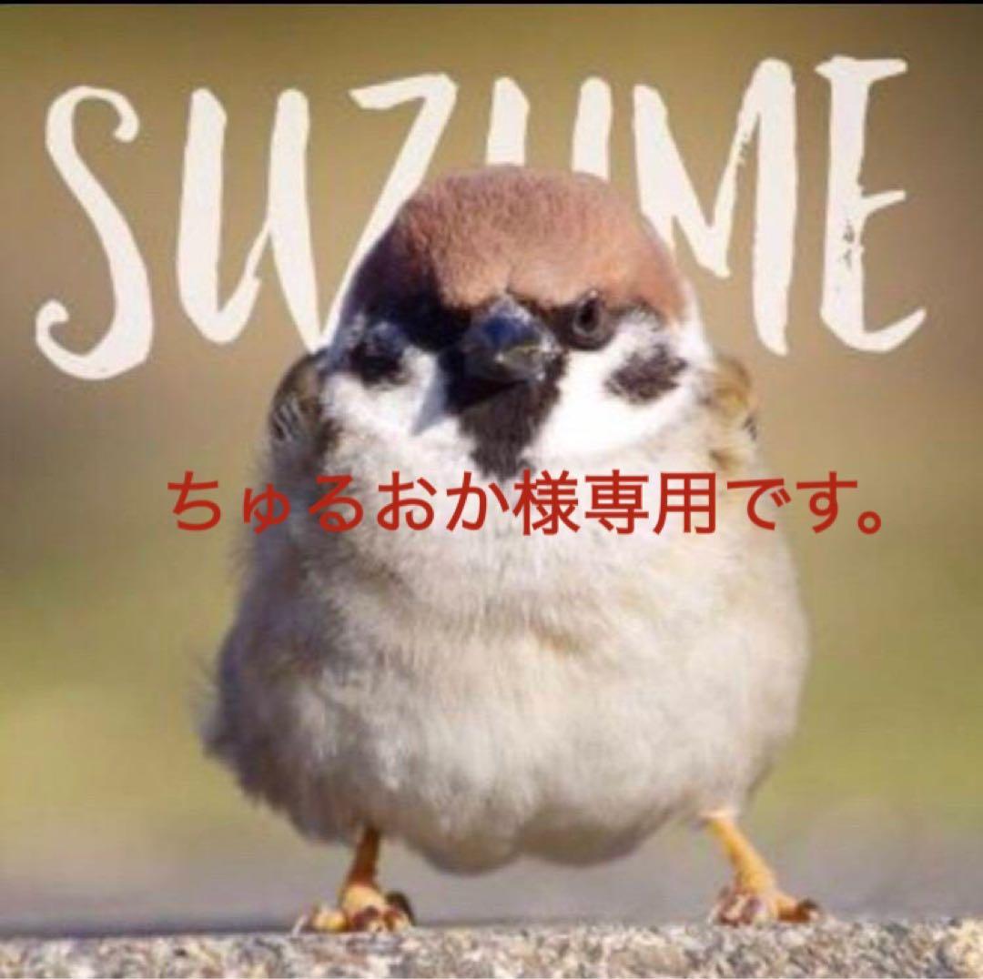 ゼファーχ用シート　しじみシート　【ちゅるおかです。】 楽天市場】利益大還元 超特価 ゼファーχ 黒 皮 タックロール シート