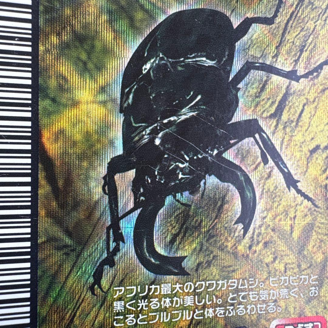 希少 タランドゥスツヤクワガタ 2004セカンド 金レア ムシキング
