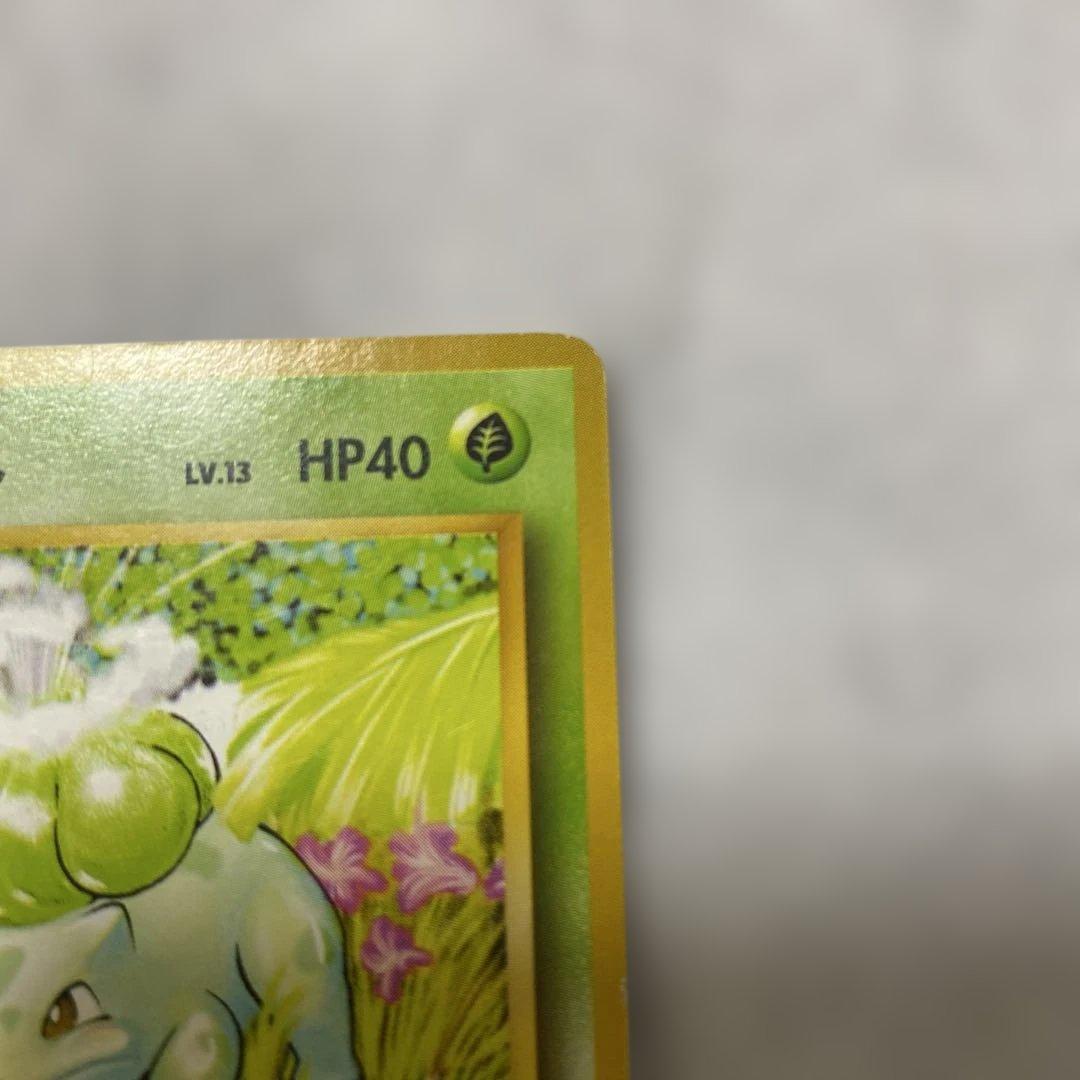 旧裏】ポケモンカード フシギダネ No.001 - メルカリ