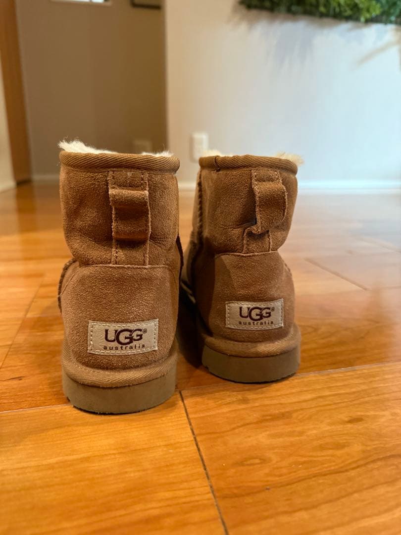 UGG W CLASSIC MINI チェスナット 6 クラシックブーツ すべて - チェス
