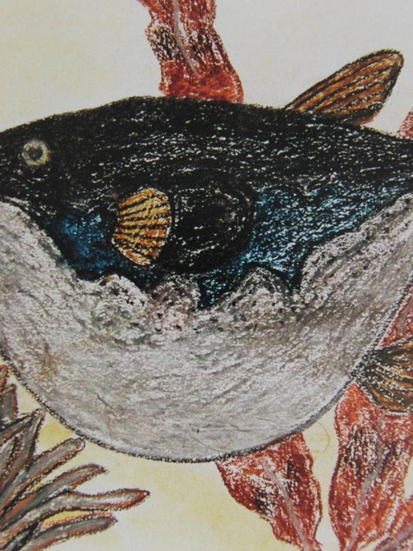 山下清、【ふぐ】、希少な額装用画集より、美品、日本人画家、新品額装