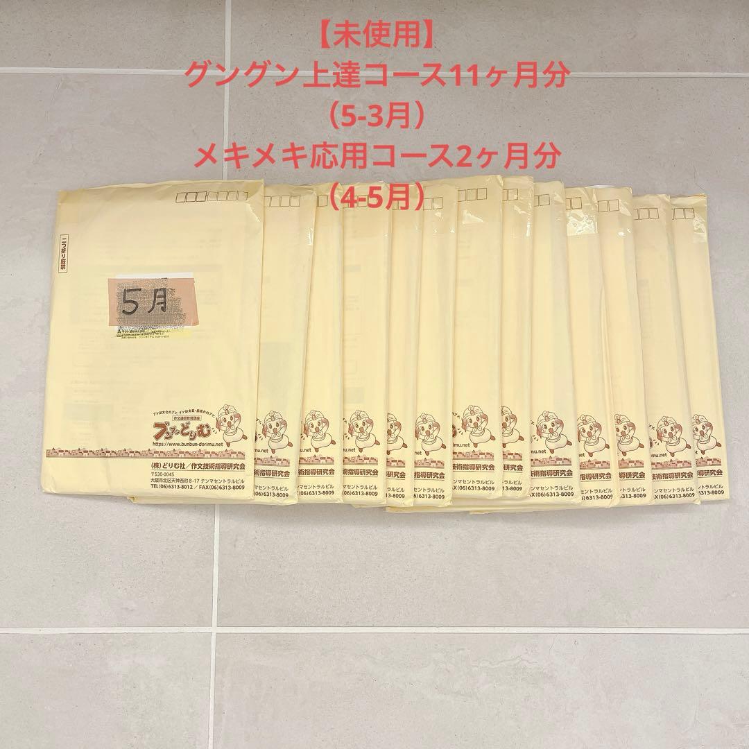 ブンブンどりむ　グングン上達コース11ヶ月分+メキメキ応用コース2ヶ月分