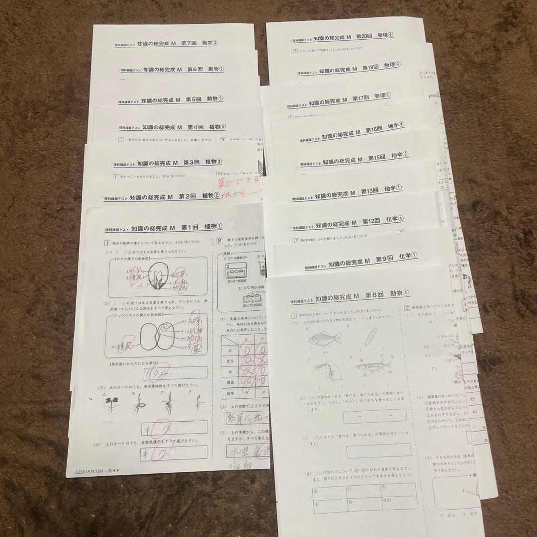 2026年受験組用 サピックス6年 理科 知識の総完成M - メルカリ