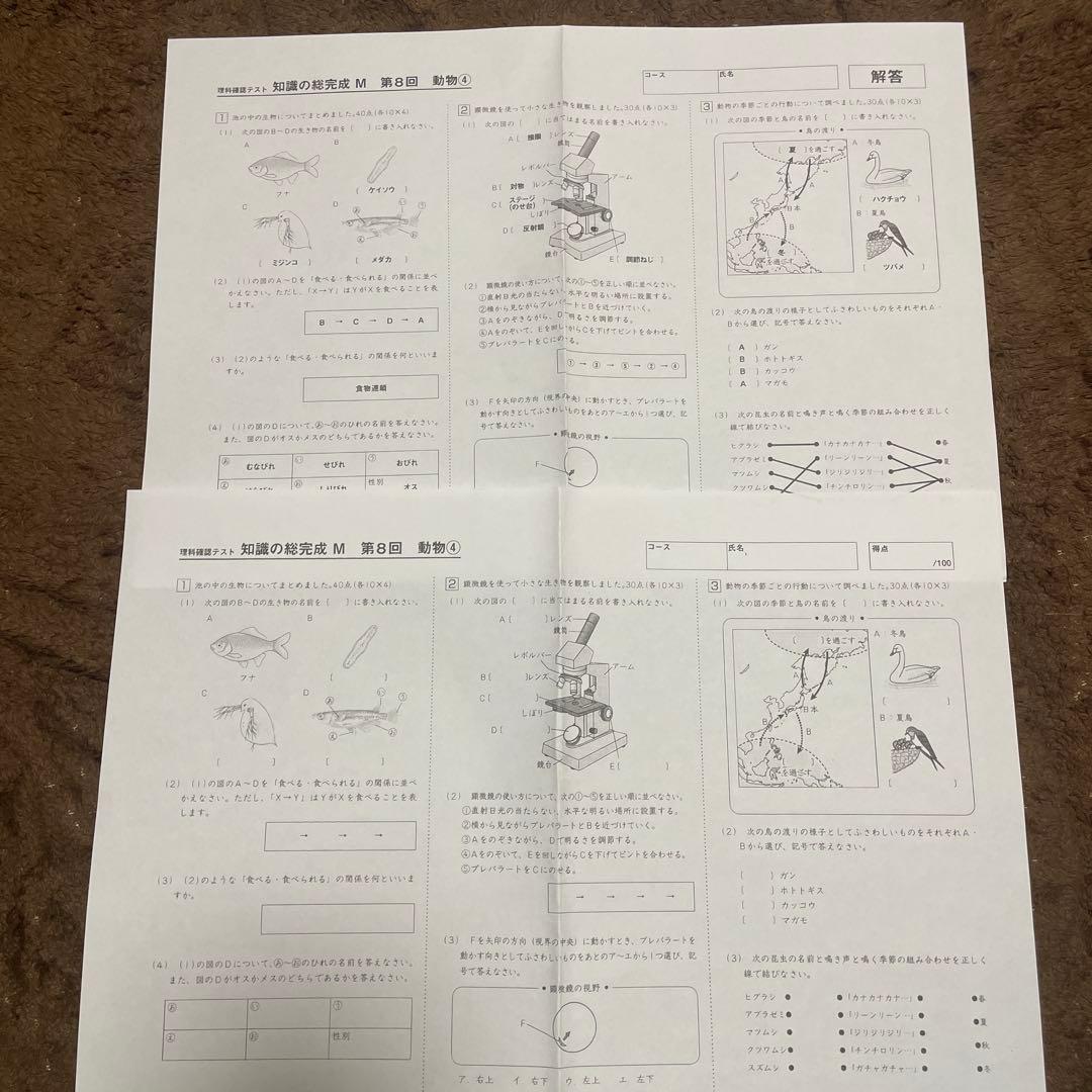 2026年受験組用 サピックス6年 理科 知識の総完成M - メルカリ