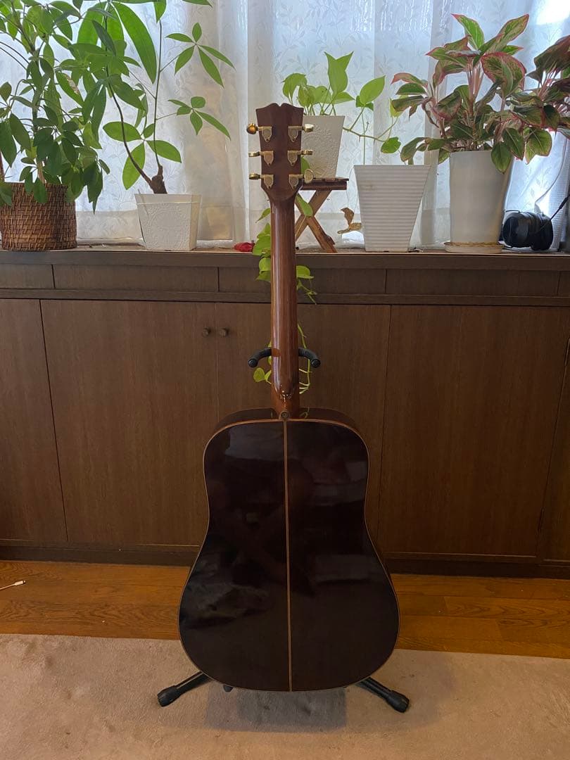 Crescent オール単板 CA-D-85BS L.R.Baggs lyric