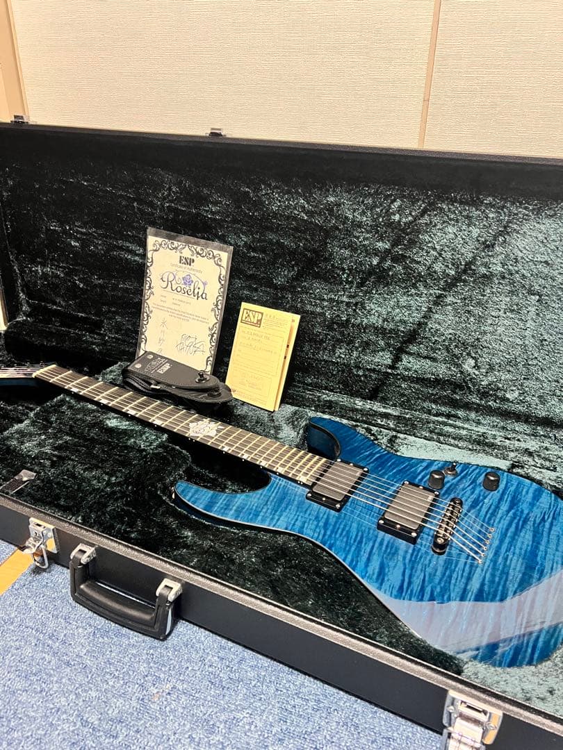 ESP M-II ROSELIA SAYO ギター2018年3月購入　氷川紗夜