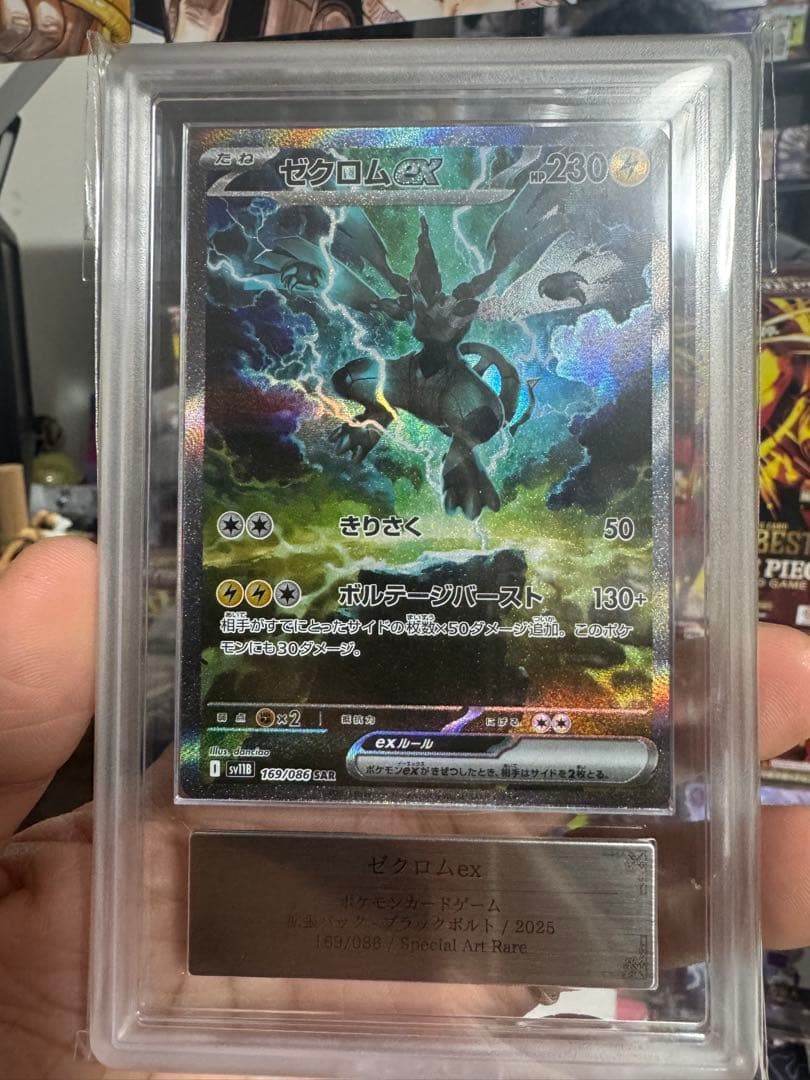 ゼクロムEX ARS10トレーディングカード ゼクロム ex商品一覧（ポケモンカード） – トレカ（TCG）通販・買取
