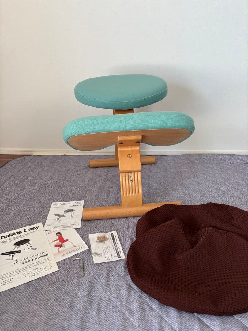 Balans Easy バランスチェア サカモトハウス カバー付
