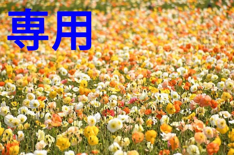 かっぱさん専用 かっぱのフィギュア 3点 「河童ちゃん・にゃっぱ・わさかっぱ」 - メルカリ