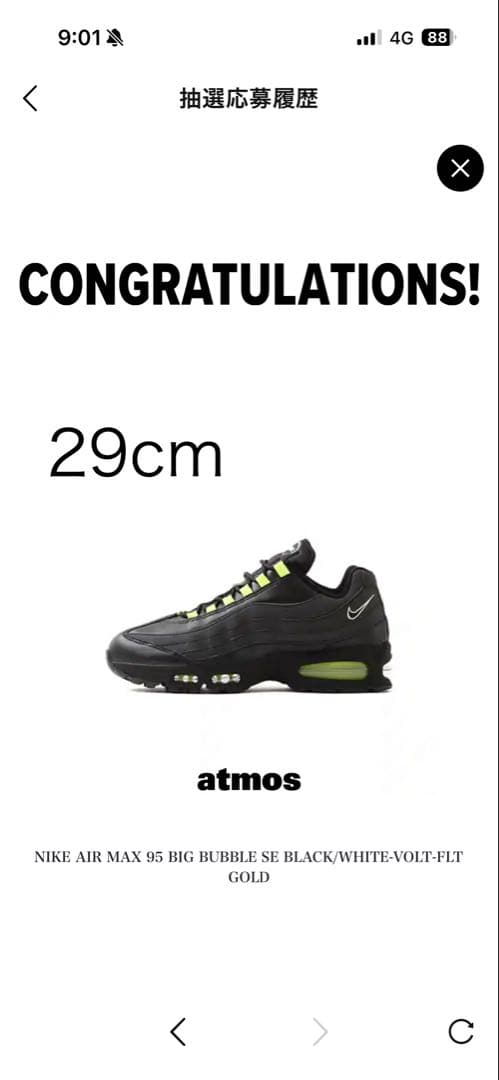 靴 NIKE AIR MAX 95 BIG BUBBLE HRJK atmos