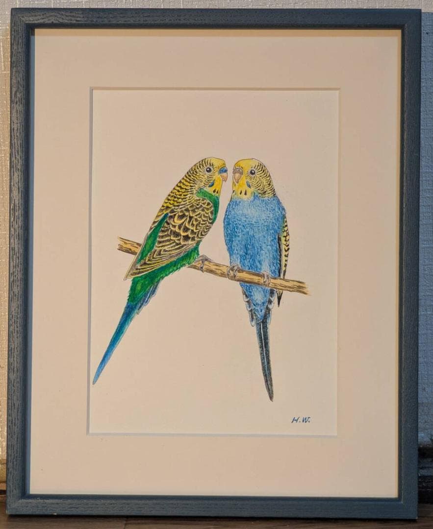 【真作】絵画　水彩　セキセイインコ　ペア　二羽の小鳥　青と緑のインコ　Y185