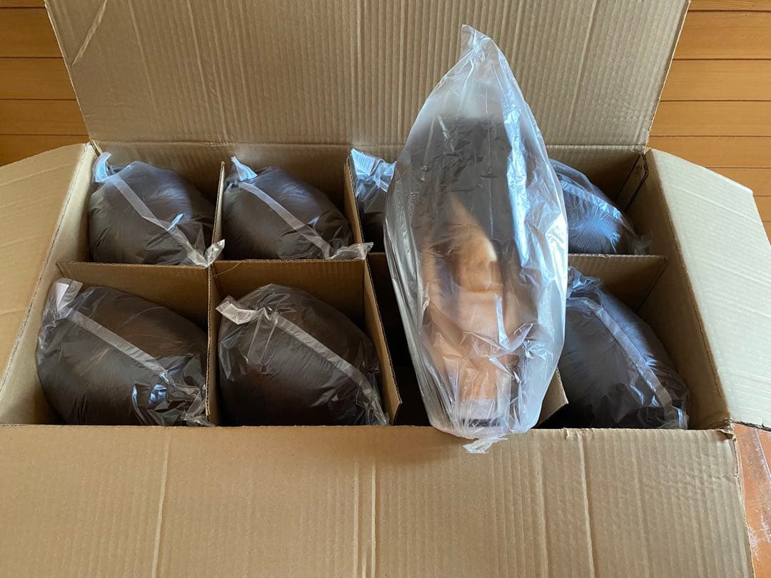 美容師　国家試験練習用ウィッグ　16体