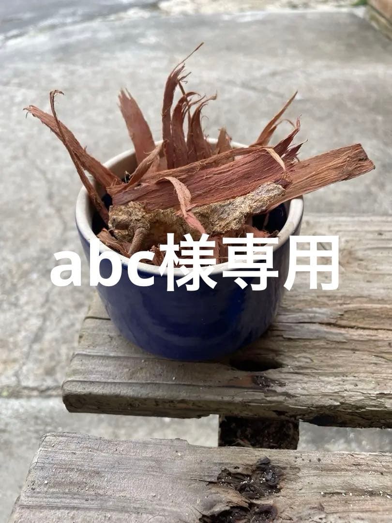 アカシア　Acacia ソウシジュ　相思樹　根皮100% 1000g