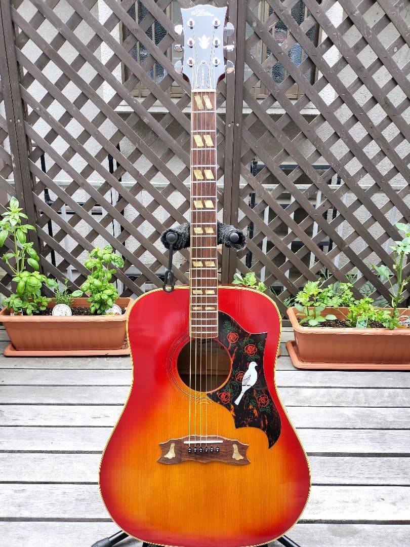 ☆美品☆Gibson　Doveモデル　Aria Custom 製造番号0067！