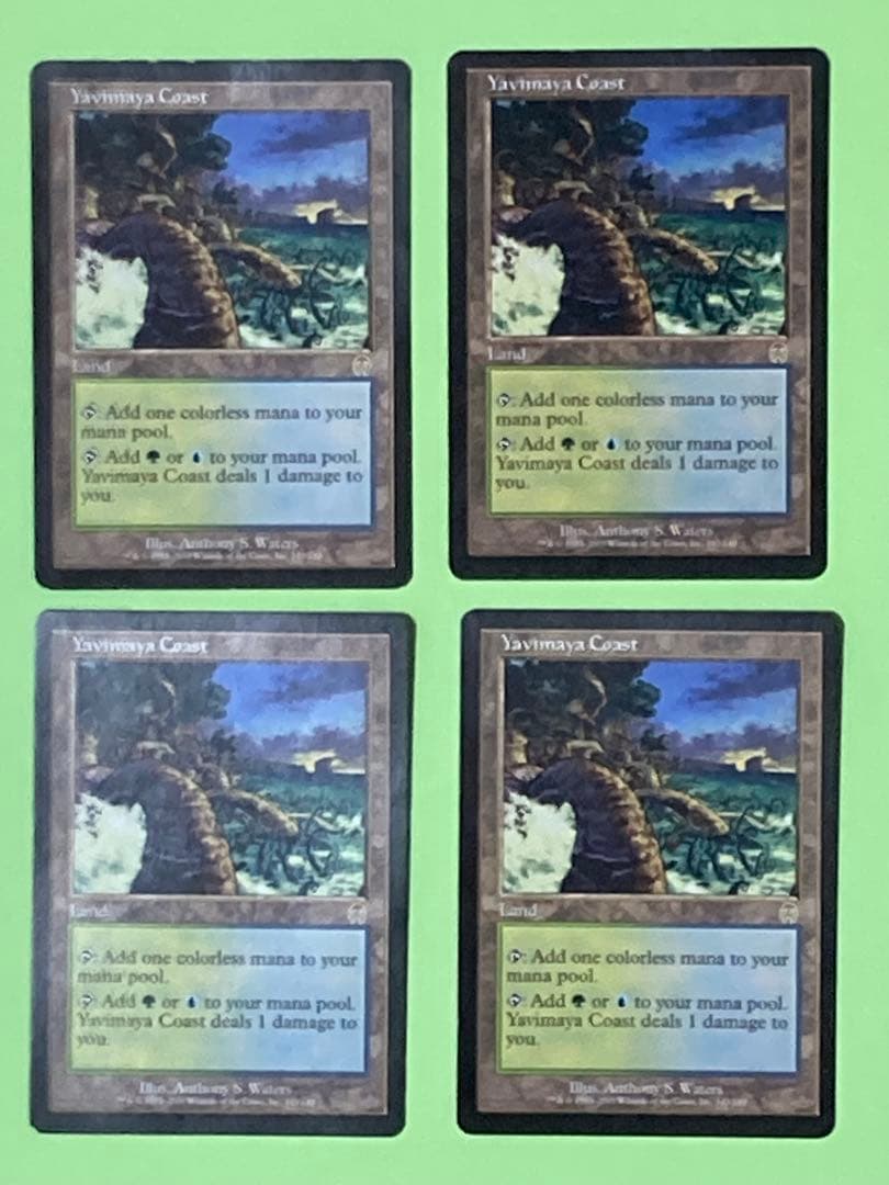 ヤヴィマヤの沿岸【英語４枚セット】 ヤヴィマヤの沿岸/Yavimaya Coast》[APC] 土地R | 日本最大級 MTG通販