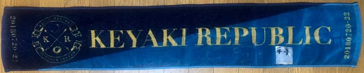 元欅坂46 平手友梨奈直筆サイン 欅共和国2018