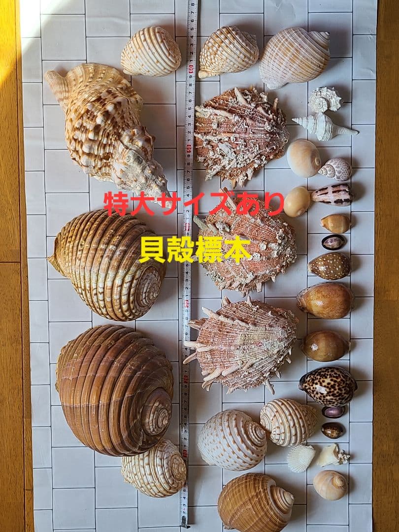 鶴の木彫オブジェ 枯れ木 流木 木彫り 彫刻 置物 アート 芸術 縁起物