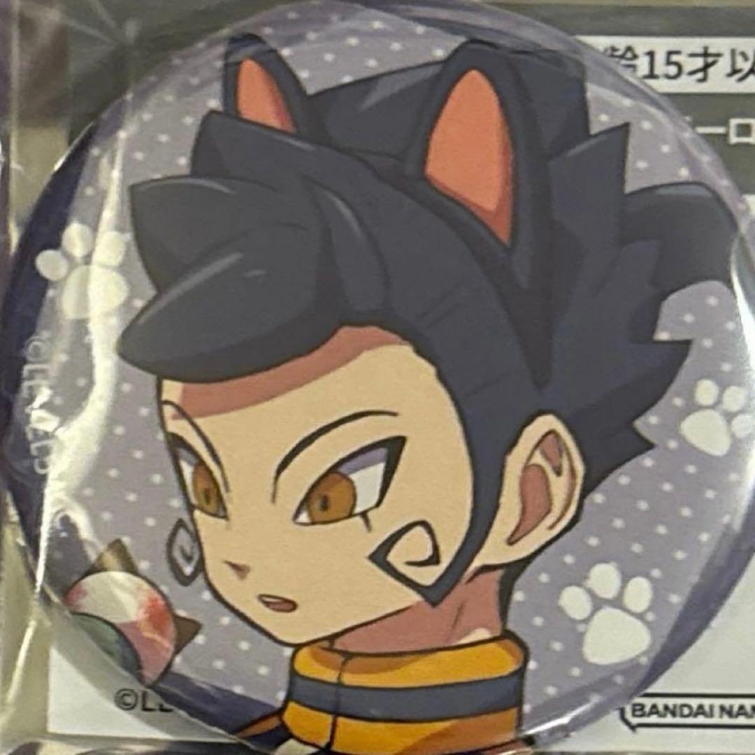 イナズマイレブン ナンジャタウン 限定 剣城京介 缶バッジ レア 希少