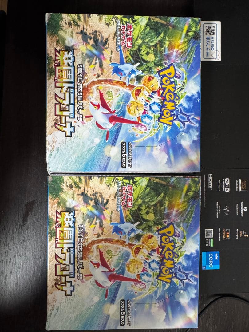 楽園ドラゴーナ 【2box】シュリンク無し