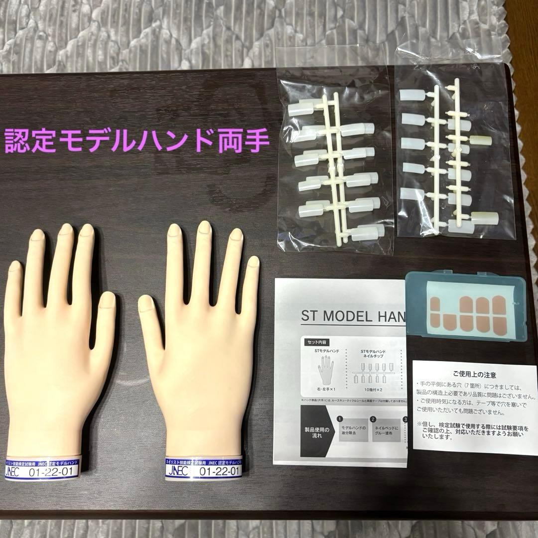 STモデルハンド右手&左手 ネイリスト技能検定試験用 JNEC認定モデルハンド
