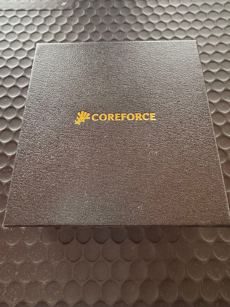 COREFORCE ブラックネックレス　70cm