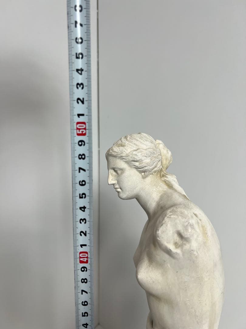 横浜 岡石膏像製作所 ミロのヴィーナス 50cm - メルカリ