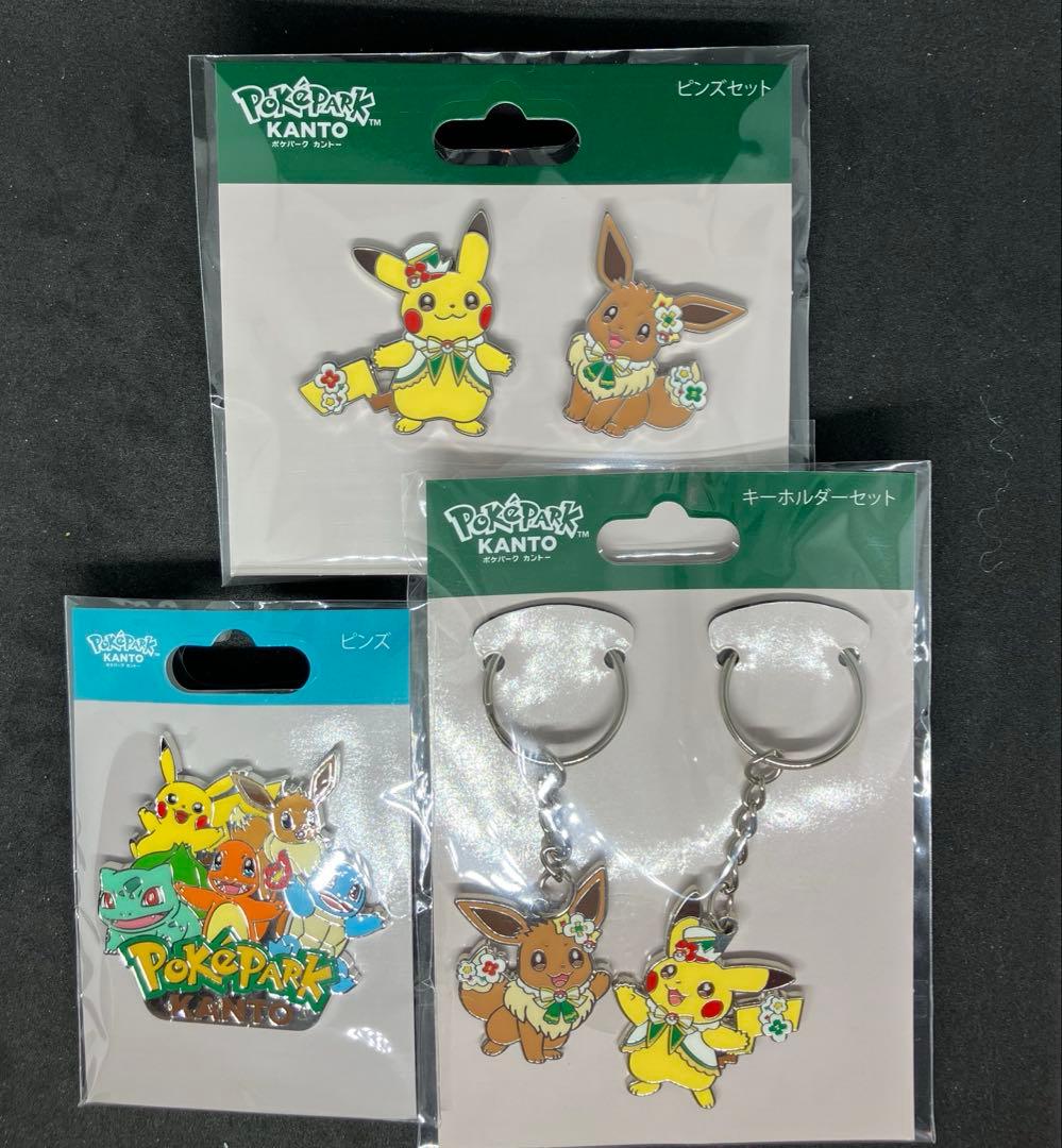 ポケパーク　カントー　限定　 ピンズ　 ピンズセット　キーホルダーセット