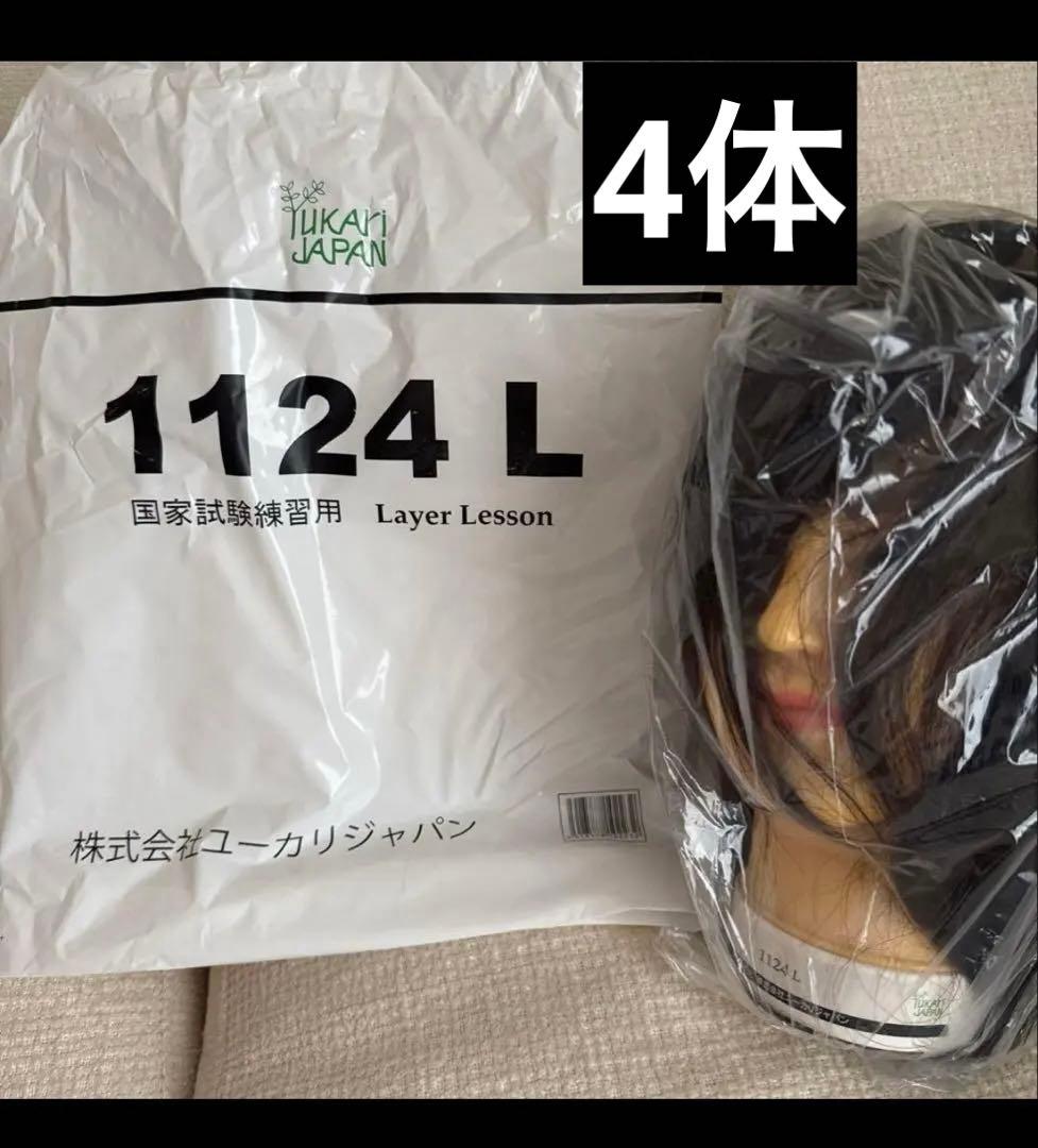 国家試験練習用ウィッグ 4体 ユーカリ1124L