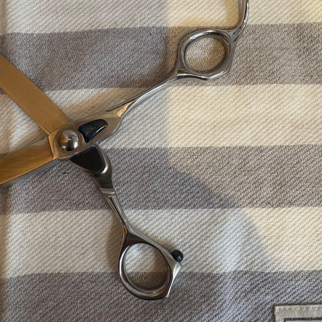 AWAZON-トギノンハサミ マリンシャーク6.8（荒刈）