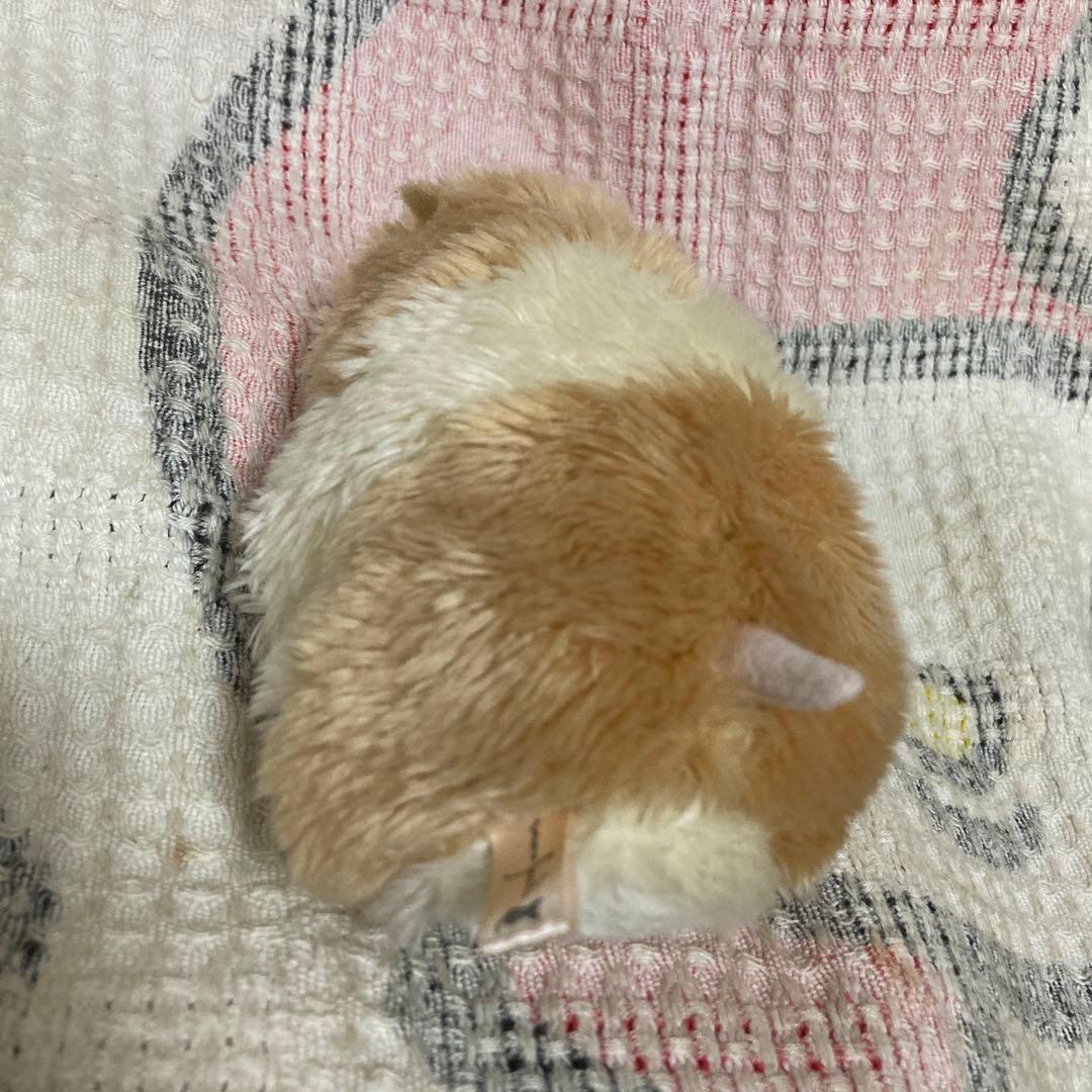 モンスイユ ハムスター ぬいぐるみ 2コセット 中古品 バラ売り不可