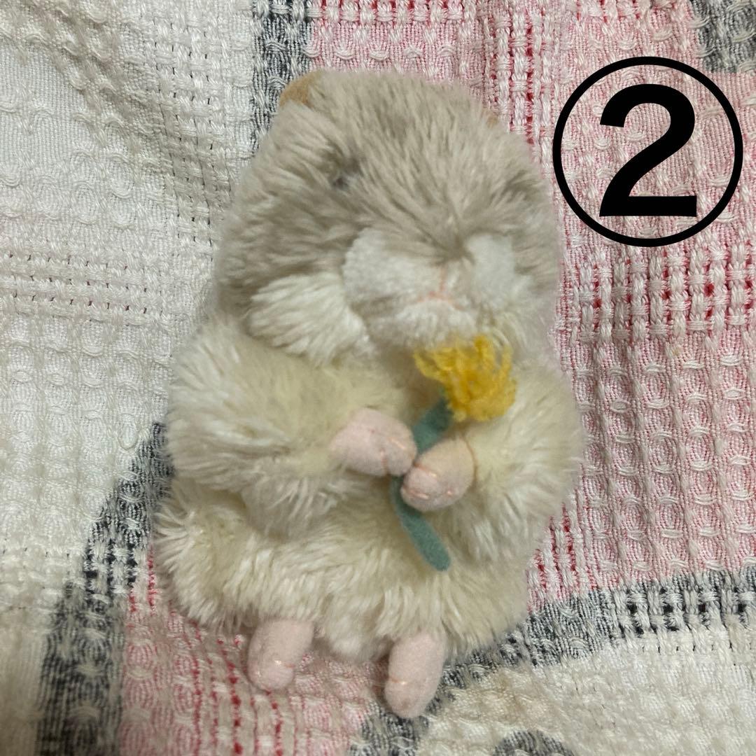 モンスイユ ハムスター ぬいぐるみ 2コセット 中古品 バラ売り不可