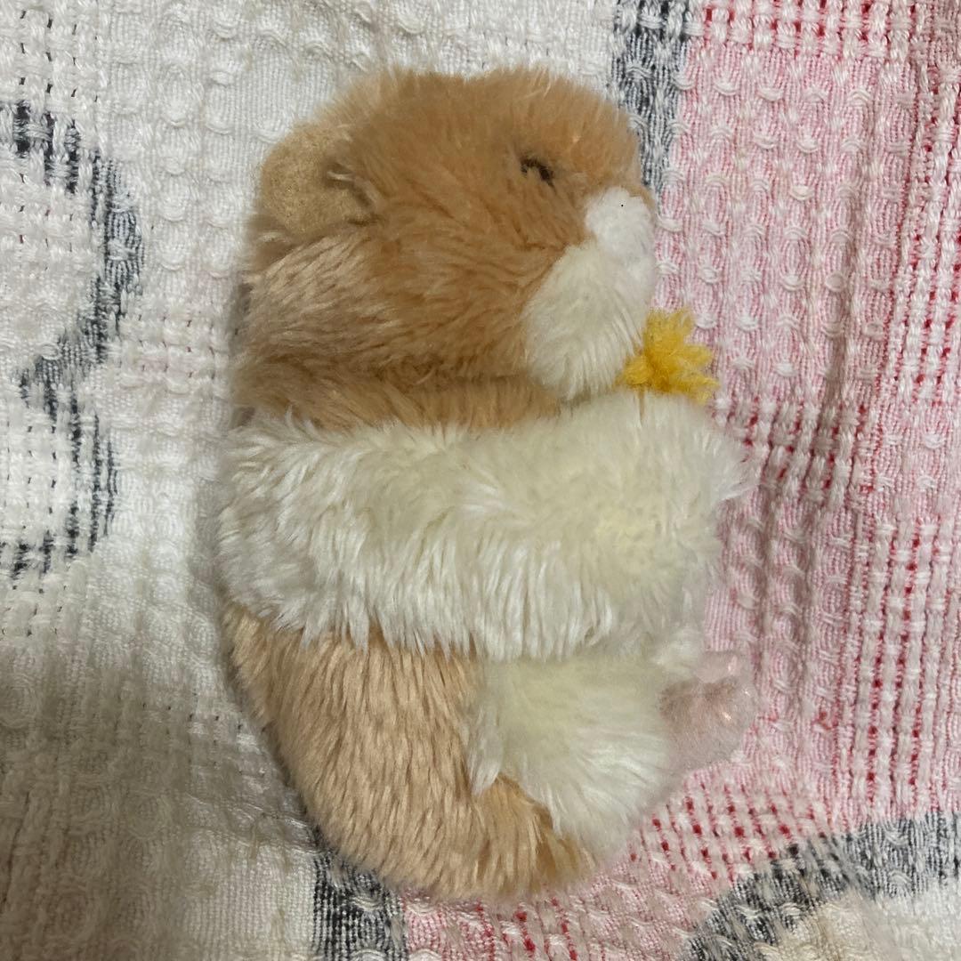 モンスイユ ハムスター ぬいぐるみ 2コセット 中古品 バラ売り不可