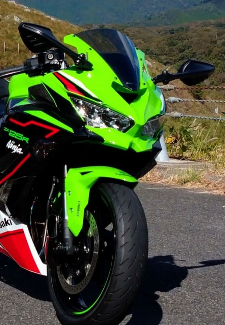 ZX25R ナポレオン カウリングミラーリブラ2 左右セット AEX10-R/L