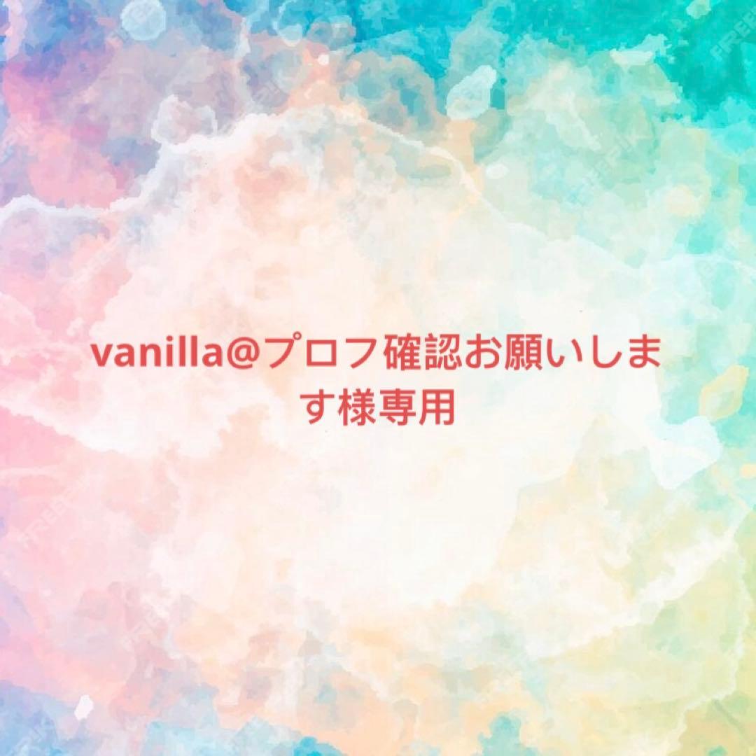 vanilla@プロフ確認お願いします様 リクエスト 10点 まとめ商品