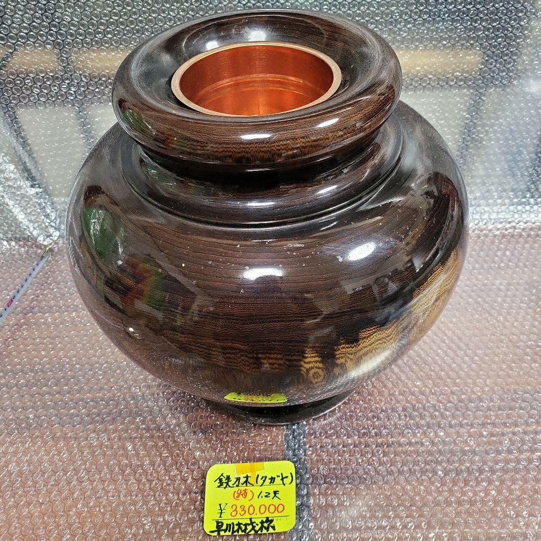 ★ラッキー特価！★ タガヤサン（鉄刀木）45cm 　特大壷