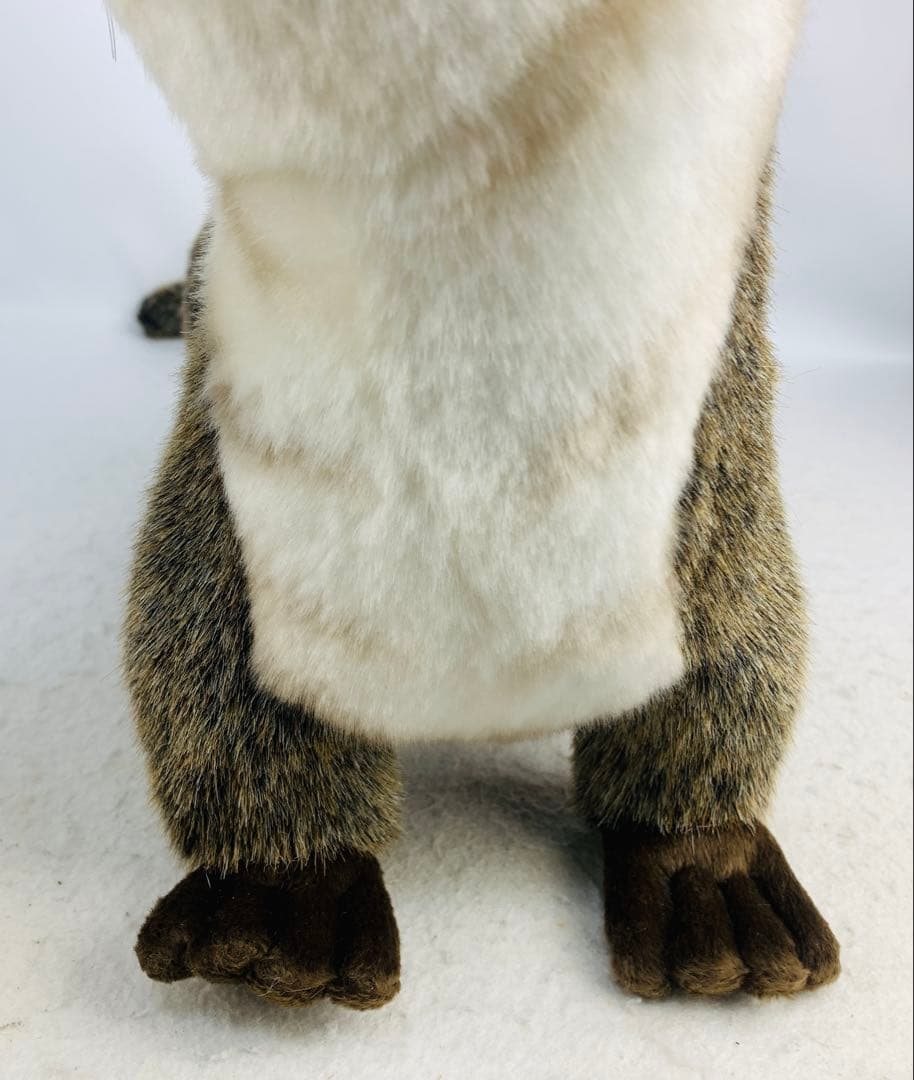 ハンサ ぬいぐるみ 3319 カワウソ かわうそ リアルアニマル 動物 獺の