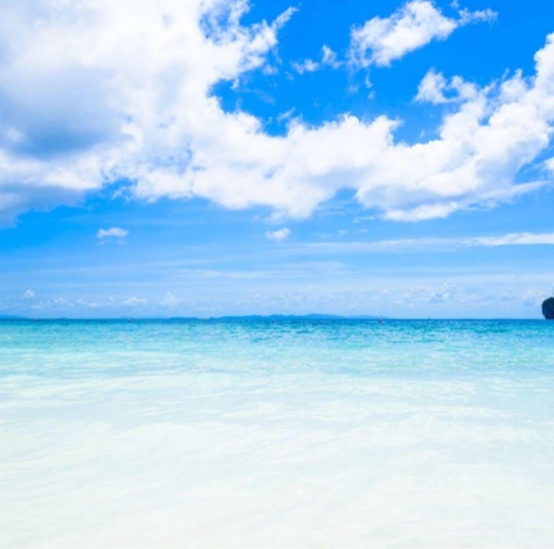 エリさん専用です