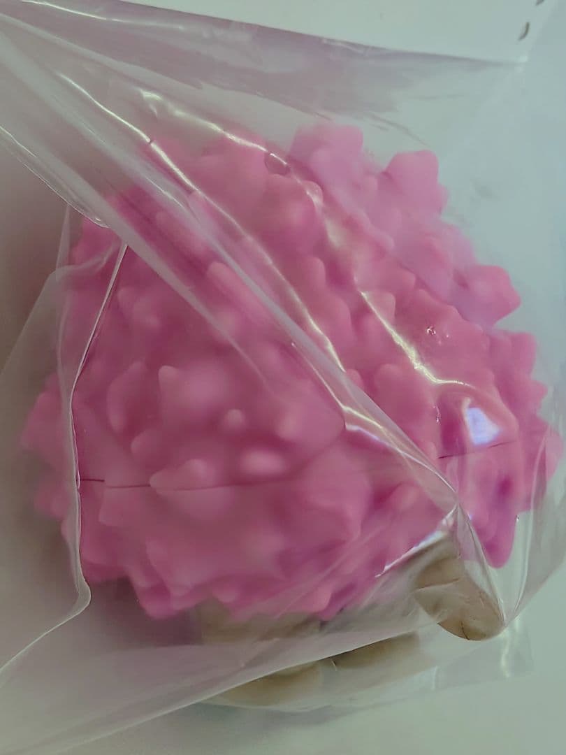 POINT TOY ピグモン ワンフェス WF2026冬 POINTTOY - メルカリ