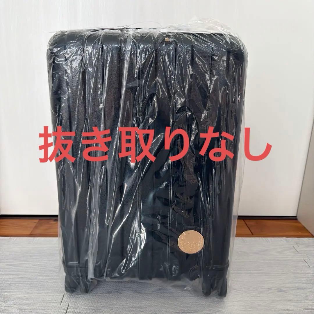 しまむら アナ雪 エルサ 福袋 パッピーバック ちはる キャリーケース5