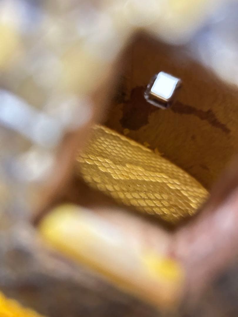 希少品】高級 沖縄三線 与那城型 実入りゆし木 スンチー塗り 蛇革 本革