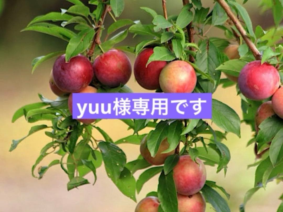 yuuです Duang with You Trailer Edit: Boys Love Series | TikTok