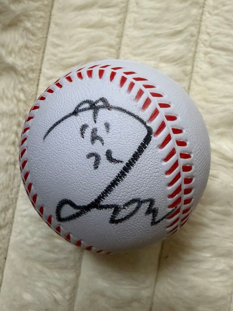 水樹奈々 缶バッジ Tシャツ クリアファイル クッション ぬいぐるみ