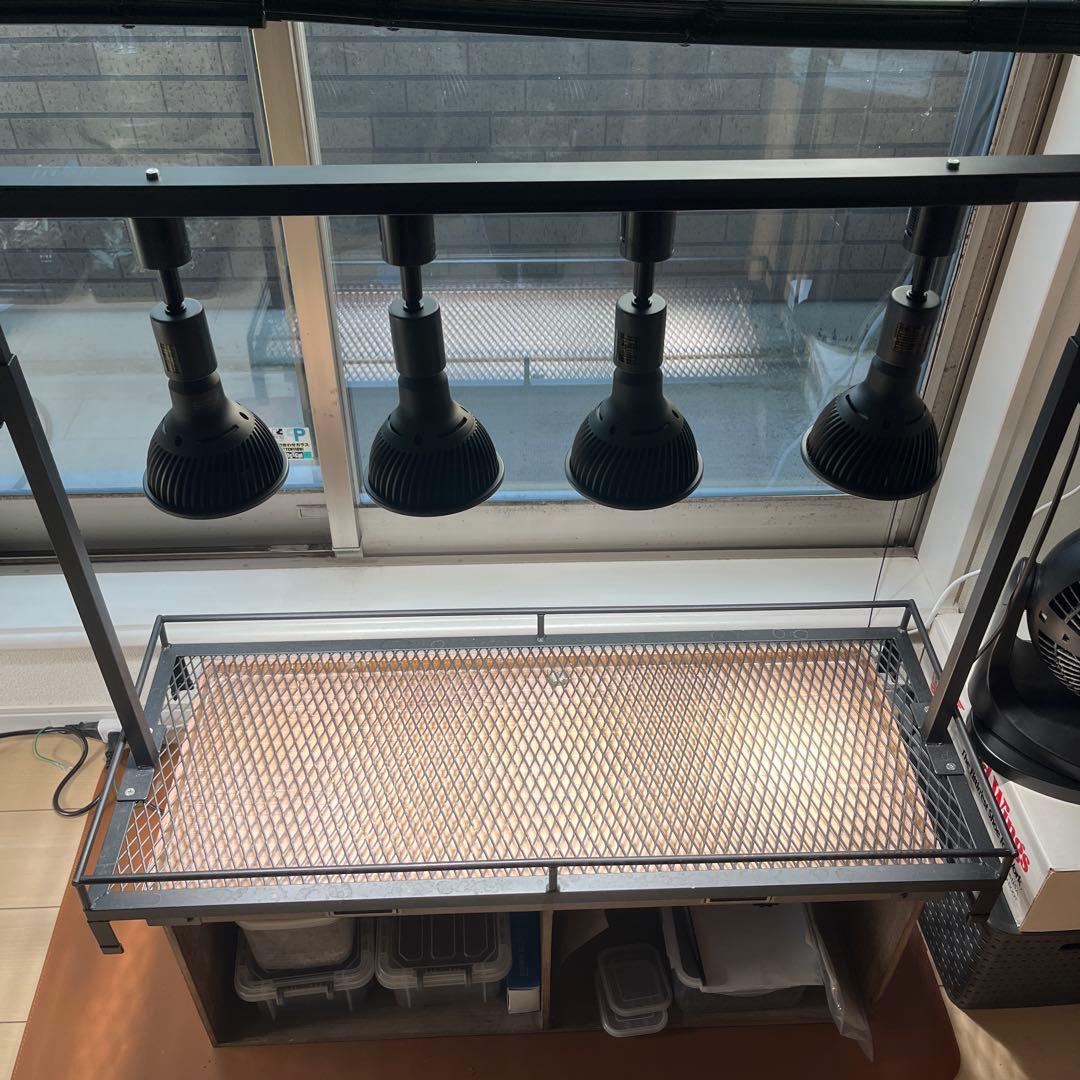 お得です★植物棚とライト4個セット 187b56e003a8c7a44cfc0afed7c41f