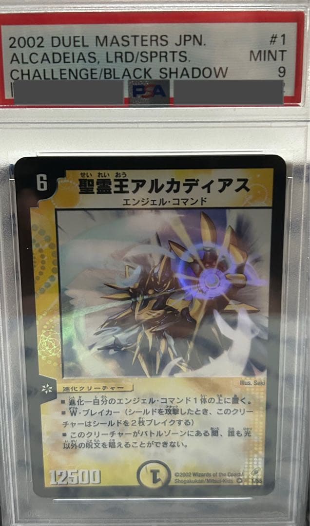 精霊王アルカディアス　psa9