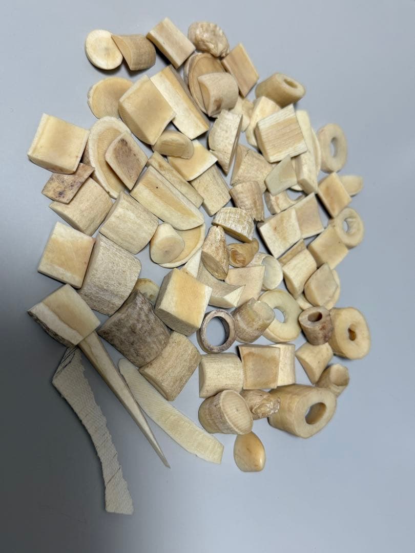 鯨歯マッコウクジラの歯 さまざまな形状。形状 さまざまな形状 重量：233g